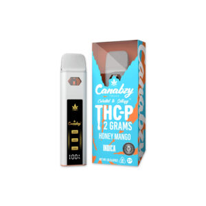 Canabzy 2g THC-P Disposable Honey Mango