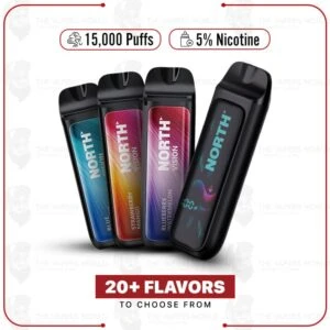 North Vision 15000 Puff Disposable