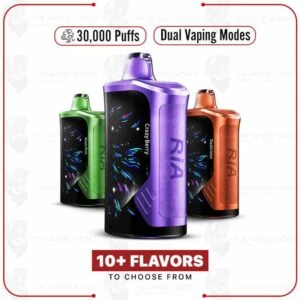 RIA NV30000 Puff Disposable Vape by Geek Bar