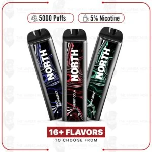 North 5000 Puffs Disposable Vape