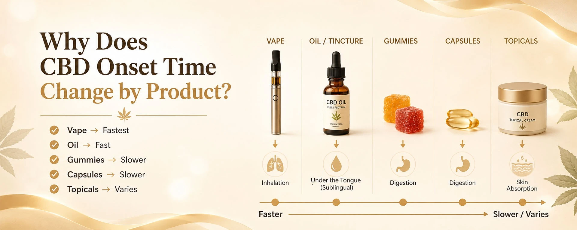 Why does cbd onset time change by product