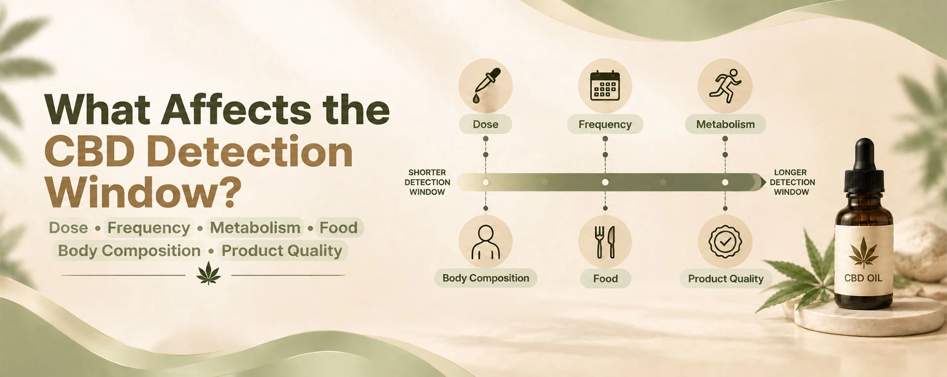 Factors that can affect the CBD detection window